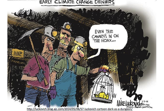 Canary in a coal mine