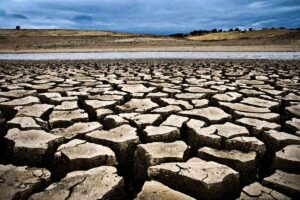 Läs mer om artikeln Resten av sommaren kanske blir sval?