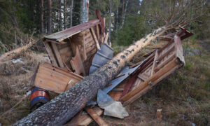Läs mer om artikeln Direktträff av stormen Ivar