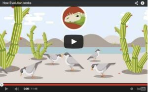 Läs mer om artikeln Om evolution och klimat i förändring