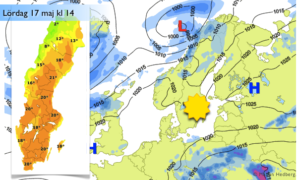 Läs mer om artikeln Sommaren börjar i morgon
