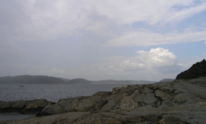 Läs mer om artikeln Äntligen svalare och regn