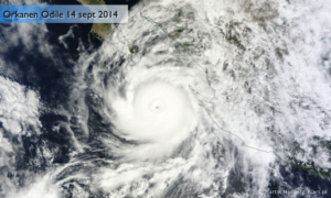 Läs mer om artikeln Triggar tropiska orkanen Odile en Cat bond?