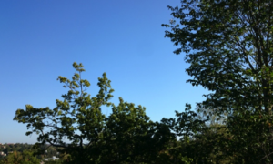 Läs mer om artikeln Hösten kommer på söndag!