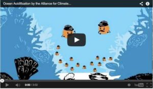 Läs mer om artikeln Ocean Acidification 2
