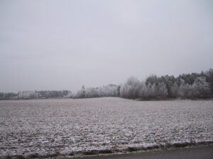 Läs mer om artikeln Kyla, snö, regn, snö och mildare