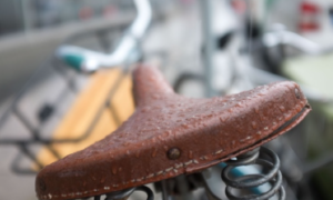 Läs mer om artikeln Mer höst än vinter