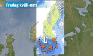 Läs mer om artikeln Storm på fredag-lördag