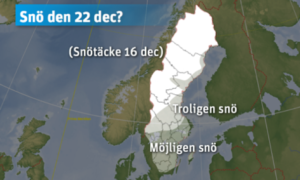 Läs mer om artikeln Här blir det snö på Julafton