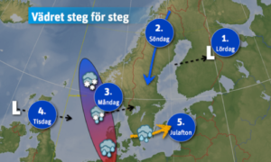 Läs mer om artikeln Steg för steg till Julafton
