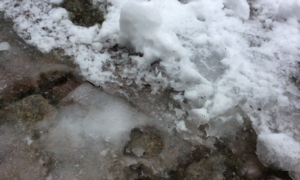 Läs mer om artikeln Ska det regna i januari?