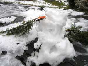 Läs mer om artikeln Nu kommer våren!