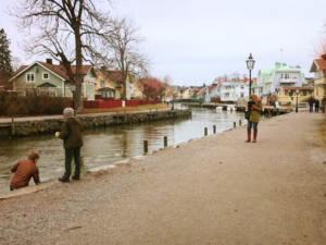 Läs mer om artikeln Vårens ankomst accelererar!