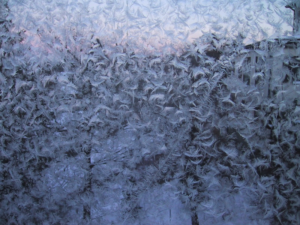 Läs mer om artikeln Högtryck med mycket sol