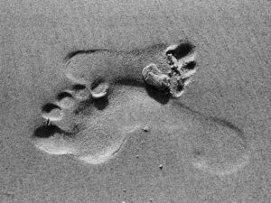 Läs mer om artikeln Det här skall vi göra