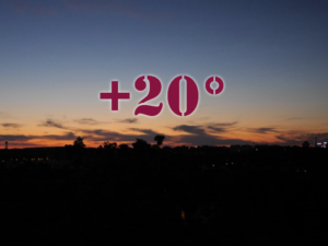 Läs mer om artikeln Tropisk natt