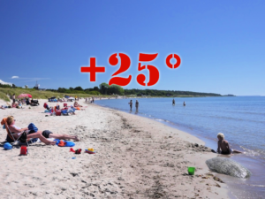 Läs mer om artikeln Vad är en värmebölja?