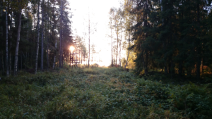 Läs mer om artikeln September kommer med inledningen till hösten