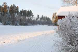 Läs mer om artikeln Nu blir det kallt -i söder