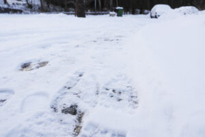 Läs mer om artikeln Varför knarrar snön?