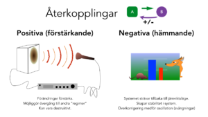Läs mer om artikeln Återkopplade system
