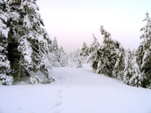 Läs mer om artikeln Vädret under Vasaloppet 2016
