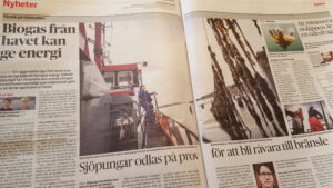 Läs mer om artikeln Att odla energi i havet