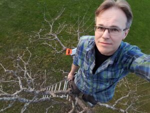 Läs mer om artikeln Klippa äppelträden