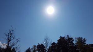 Läs mer om artikeln Jag ska försöka vara glad åt det fina vädret