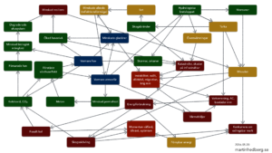 Läs mer om artikeln Återkopplingar i klimatsystemet