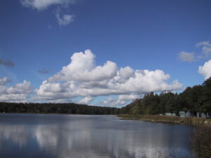Läs mer om artikeln Sjöbris