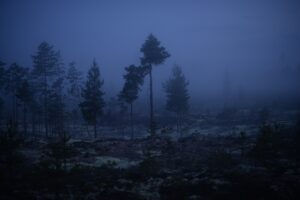 Läs mer om artikeln Dis och nattens ljus i Hälsingland