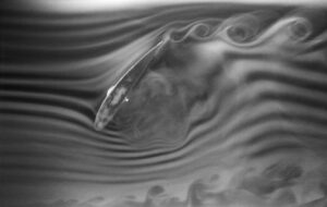 Läs mer om artikeln Turbulens