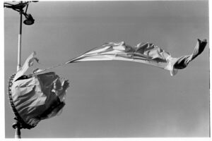 Läs mer om artikeln Vindar