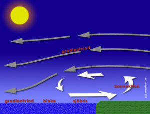 Läs mer om artikeln Hur påverkas sjöbrisen av gradientvinden?