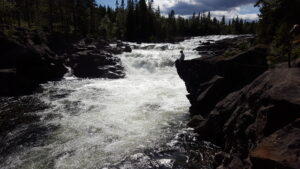 Läs mer om artikeln Earth Overshoot på en vecka