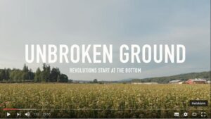 Läs mer om artikeln Att tänka innan man tuggar