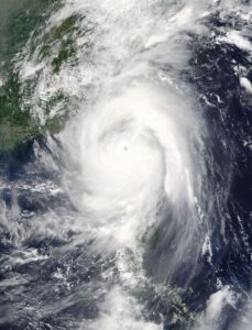 Läs mer om artikeln Monstret Meranti, en supertyfon