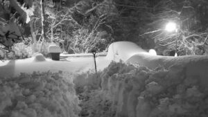 Läs mer om artikeln Om två dagar regnar det