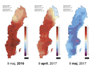 Läs mer om artikeln Global uppvärmning? Det är ju kallt!