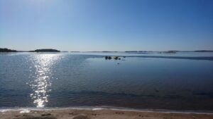 Läs mer om artikeln På onsdag kommer våren