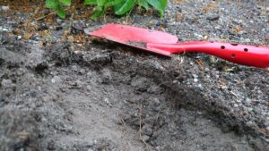 Läs mer om artikeln Det regnade, men blev knappt blött