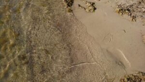 Läs mer om artikeln Hit men inte längre? Och att lära sig simma.