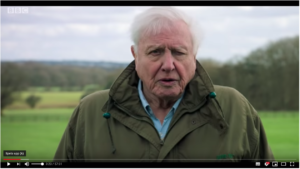 Läs mer om artikeln BBC klimatfilm med David Attenborough