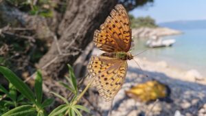 Läs mer om artikeln Förundran