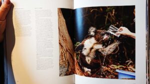 Läs mer om artikeln Besvärande aktuell bok