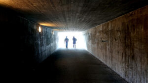 Läs mer om artikeln Illusionen om att allt ska vara som vanligt