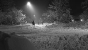 Läs mer om artikeln Det kan snöa i november