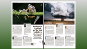 Läs mer om artikeln Fin recension av tyska utgåvan av min bok