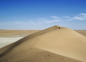 Läs mer om artikeln Finns det nog med sand för oss att stoppa huvudet i?